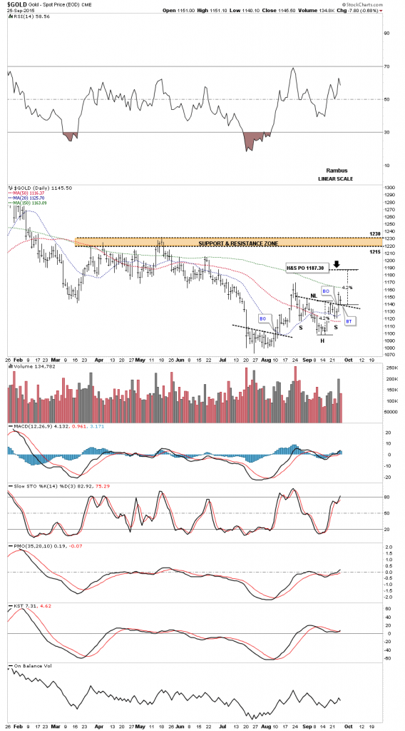 gold new h&s conso